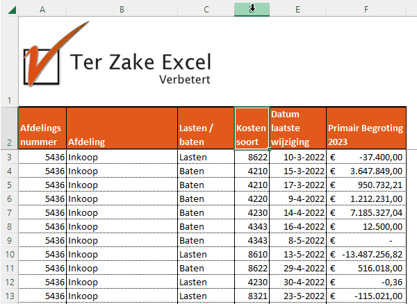 Workshop basis Excel volgen?